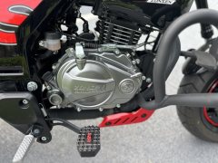 Zongshen Little Bear 150 cc - фото 10