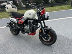 Zongshen Little Bear 150 cc - фото 2