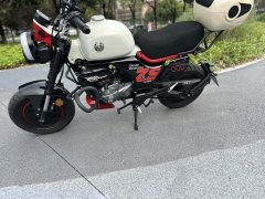 Zongshen Little Bear 150 cc - фото 7