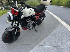 Zongshen Little Bear 150 cc - фото 8