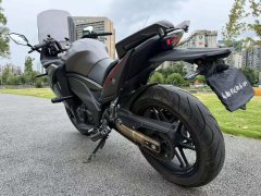 Cyclone RG401 400 cc - фото 4