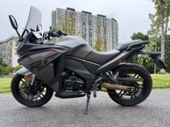 Cyclone RG401 400 cc - фото 9