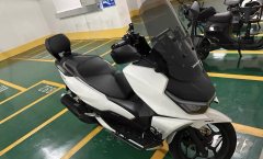 Sundiro Honda NS150GX - фото 6