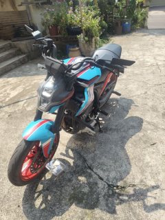 Zongshen M250R - фото 1