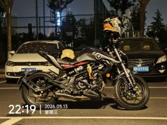 QJMOTOR 350 - фото 3