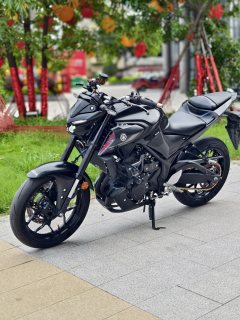 Yamaha MT-03 320 cc - фото 7