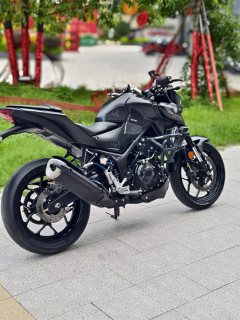 Yamaha MT-03 320 cc - фото 9
