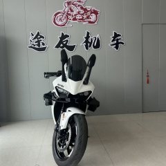 Kayo 450RR - фото 6