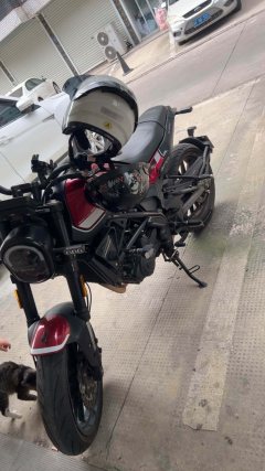 Benelli Leoncino 250 - фото 2