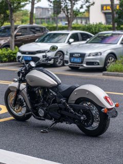 Indian Scout 1200 cc - фото 6