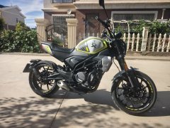 CFMOTO 250CL-X - фото 1