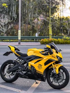 Kayo 450RR - фото 1