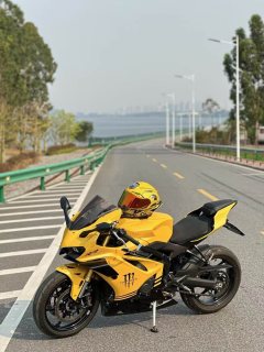 Kayo 450RR - фото 2