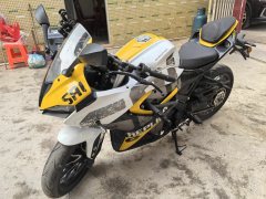 QJMOTOR SRK 250 - фото 3