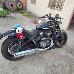 Benda Chinchilla 350 - фото 2
