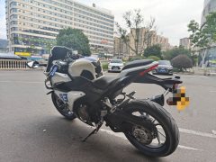 QJMOTOR Sai 450 - фото 4