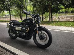 Triumph Scrambler 900 - фото 1
