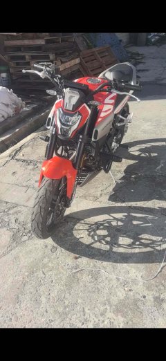 Kayo Cobra 321R 320 cc - фото 2