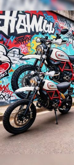 Ducati Scrambler Urban Enduro 800 cc - фото 1