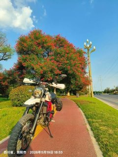Ducati Scrambler Urban Enduro 800 cc - фото 8