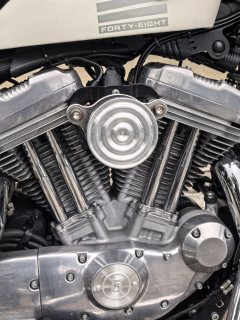 Harley-Davidson 883L SuperLow - фото 6