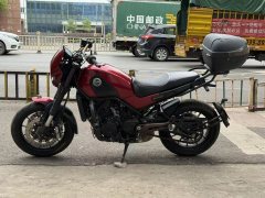 Benelli Lion Cub Leoncino 500 - фото 2