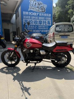 Longjia V-track 250 - фото 5
