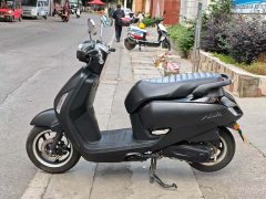 Sundiro Honda NS125LA - фото 4