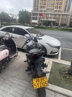 CFMOTO 250SR - фото 2