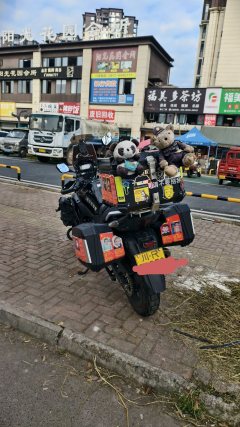 Haojue Suzuki DL250 - фото 1