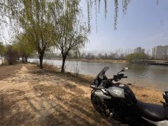 Benelli Jinpeng TRK502 500 cc - фото 1