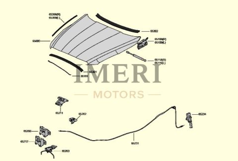 11H823031GRV Hood Front Hood VW CUPRA Born 06