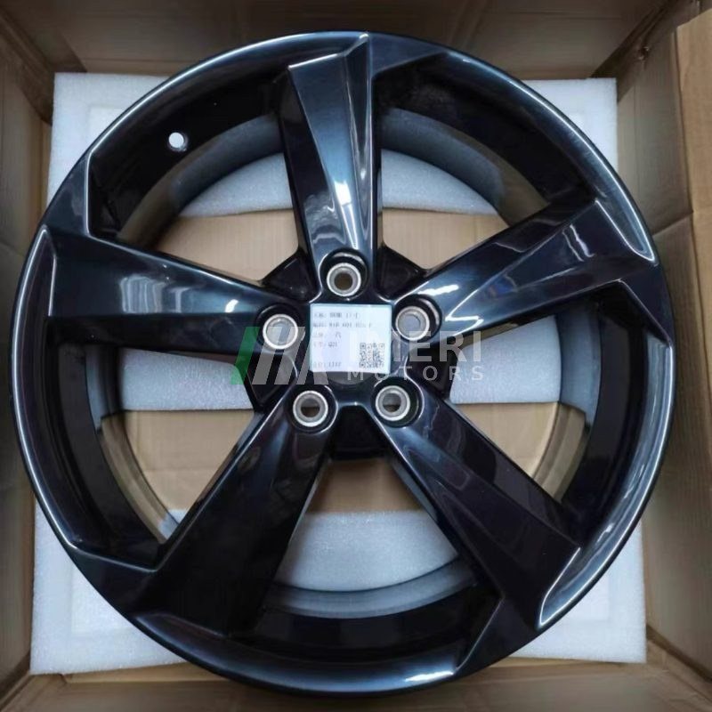 Front Wheel Hub Steel Rim - Audi Q2L - 2