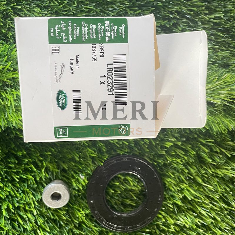 Oil Seal - 1