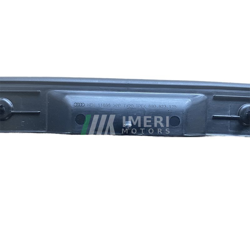 Hood Strip - Audi Q5e-tron - 1