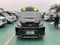 21 6 RV 2.0L - фото 6