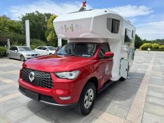 Great Wall petrol Edition AC RV 2.0T - фото 1