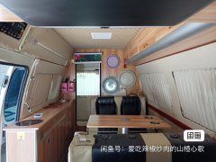 RV 2.0L - фото 4