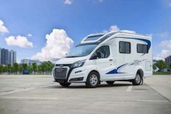 Ford RV 2.0L - фото 4