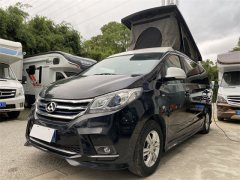 Maxus 19 RG10 RV 2.0L - фото 1