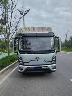SINOTRUK HOWO Light Duty Truck PRO 170 hp 4X2 4.15 m - фото 2