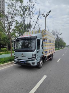 SINOTRUK HOWO Light Duty Truck PRO 170 hp 4X2 4.15 m - фото 3