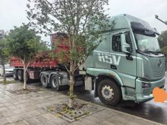 Dongfeng Liuzhou Chenglong H5V 500 hp 6X4 - фото 2