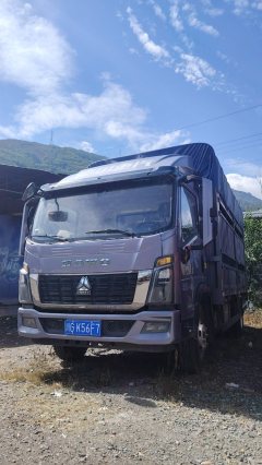 SINOTRUK HOWO Light Duty Truck PRO 170 hp 4X2 4.15 m - фото 2