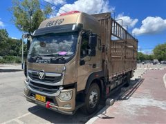 Foton Ollin Hornet 220 hp 4X2 6.8 m - фото 1