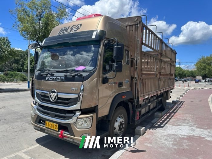 2020 Foton Ollin Hornet 220 hp 4X2 6.8 m