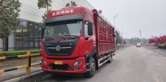 Dongfeng Tianjin KR PLUS 300 hp 6X2 6.8 m - фото 1