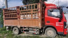 Dongfeng Captain K6 115 hp 4X2 3.27 m - фото 1