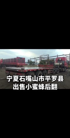 9 m x2.55 m 3 semi-trailer - фото 2