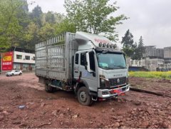 SINOTRUK HOWO Light Duty Truck Commander 180 hp 4X2 3.85 m - фото 1